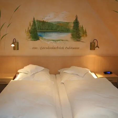 Cafe Steffens 3*